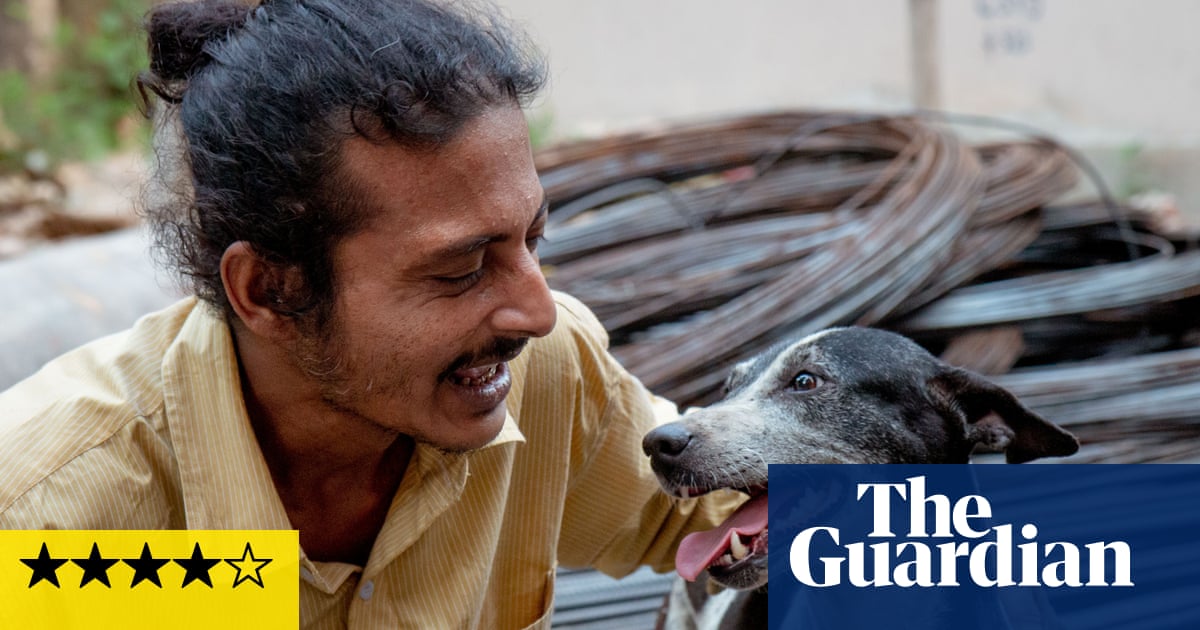 Pariah Dog review – lyrical portrait of Kolkata’s canine carers