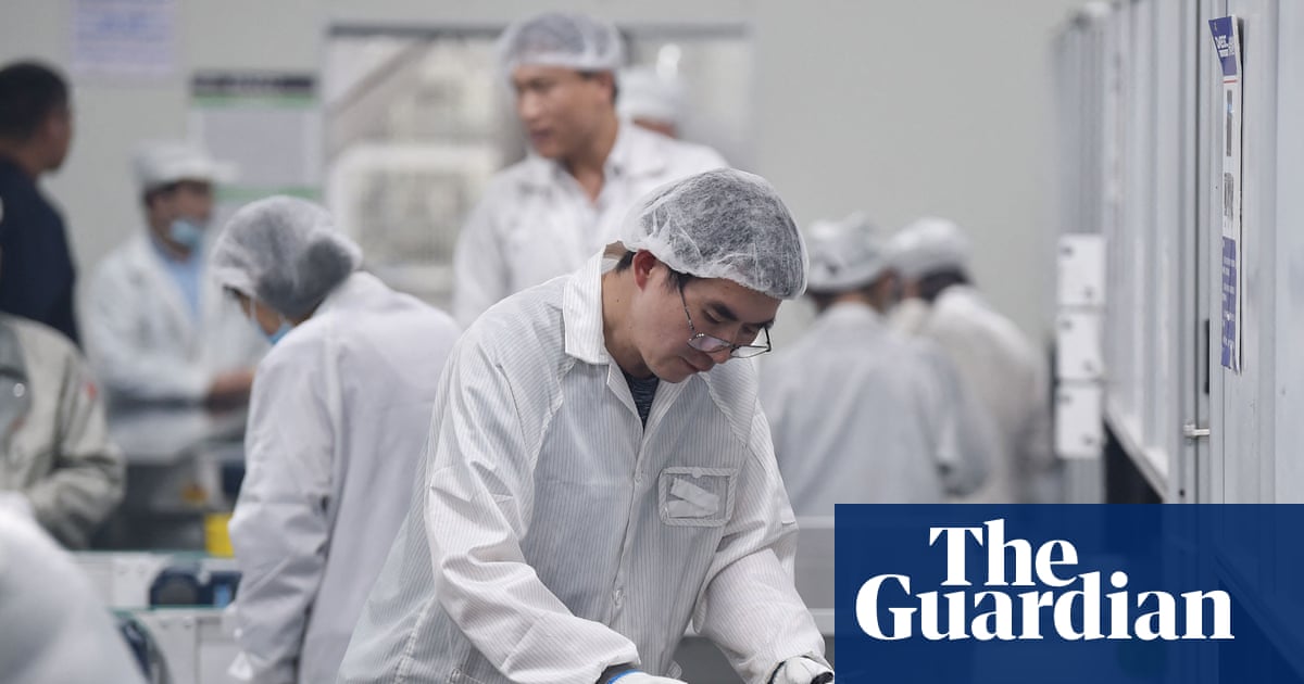 Reliance on Chinese green tech poses serious' risk for Europe, experts say