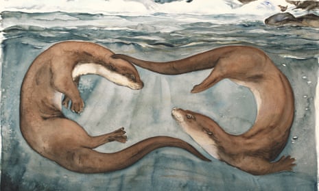 ‘This shape-shifter’s a sheer breath-taker’ … an illustration of otters for the book The Lost Words.