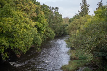 The River Dart winds through trees and greenery upriver near Totnes.