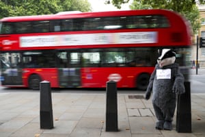 A campaigner in a badger costume outside Downing Street, London.