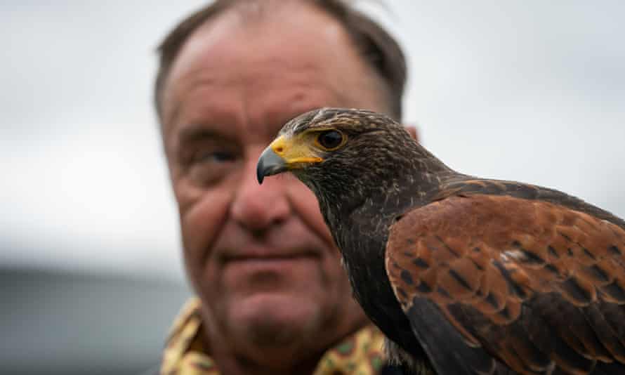 Wayne Davis and Rufus the Harris hawk