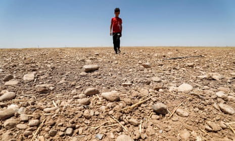A boy walks through a dried up agricultural field in eastern Iraq