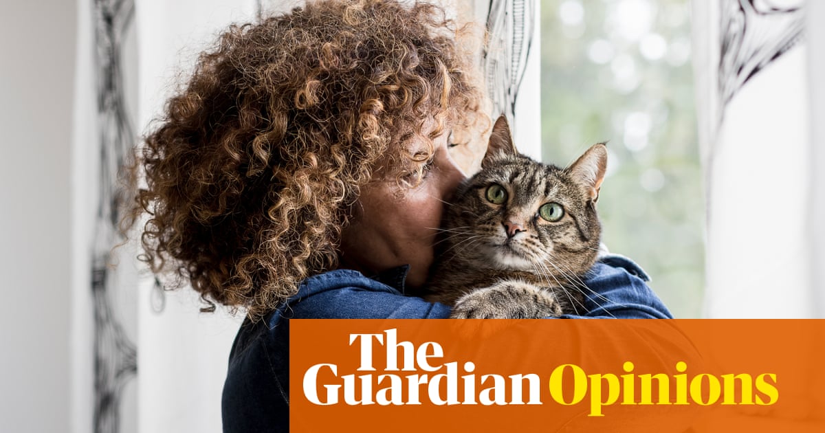 Why do cats love middle-aged women so much? | Zoe Williams