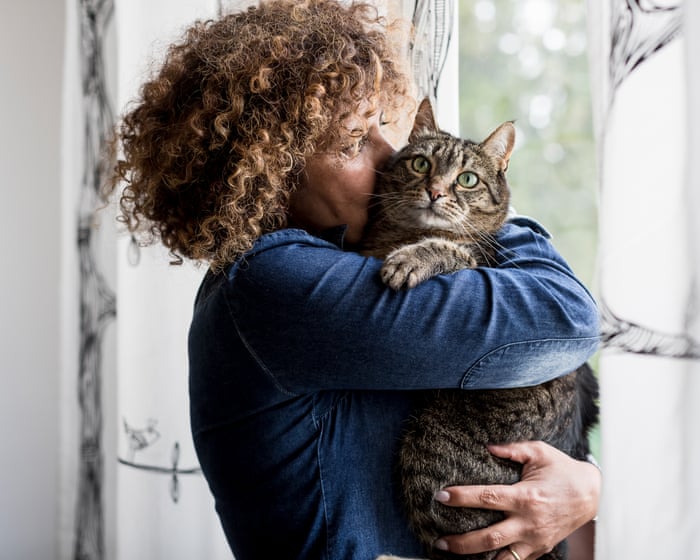 Why do cats love middle-aged women so much? | Zoe Williams