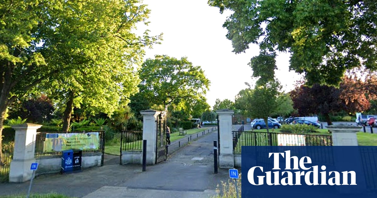 Five children taken to hospital after tree falls in Essex park