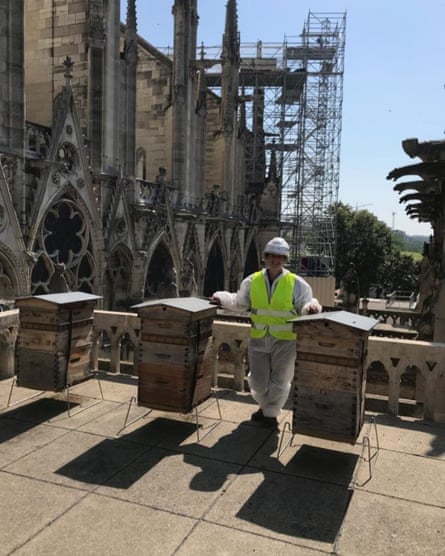 Moulin with the unharmed beehives on the sacristry roof three months after the fire.