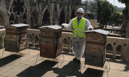 Sybile Moulin with Notre Dame’s beehives, three months after the fire.
