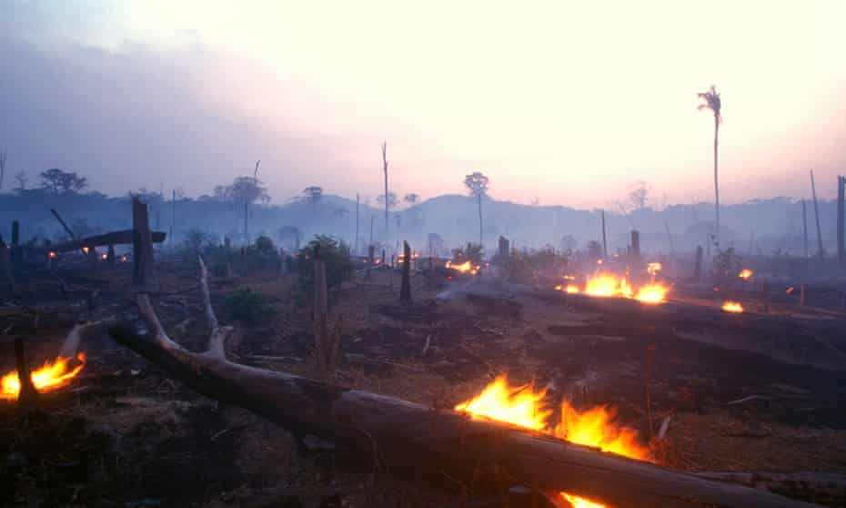 Burning forest in the Amazon