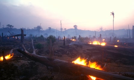 A burning forest at dusk in Brazil. Sixty-seventy percent of deforestation in the Amazon results from cattle ranches and soyabeans cultivation while the rest mostly results from small-scale subsistence agriculture.