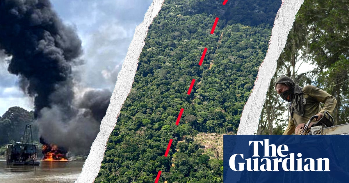 Cocaine, gold and meat': how Colombia's Amazon became big business for crime networks