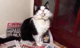 Humphrey, former Downing Street cat
