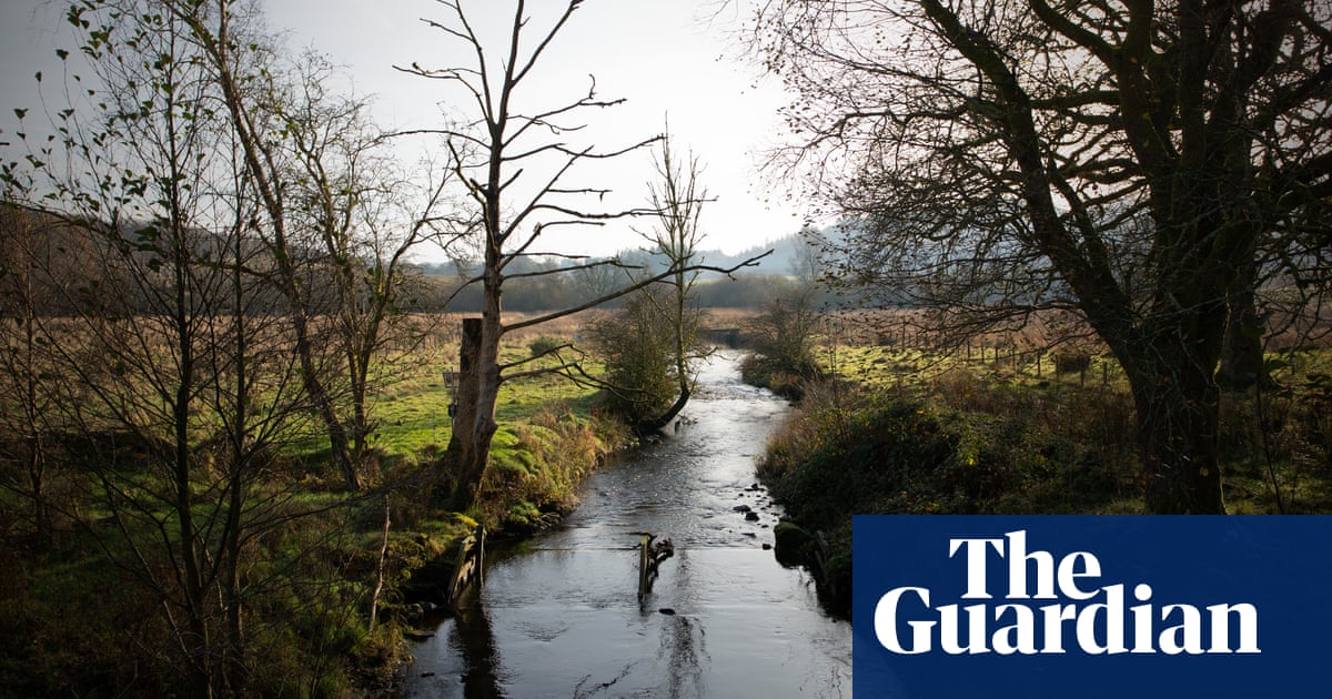 Changes to bathing water status test will deny rivers protection, say critics | Rivers Changes to bathing water status test will deny rivers protection, say critics | Rivers