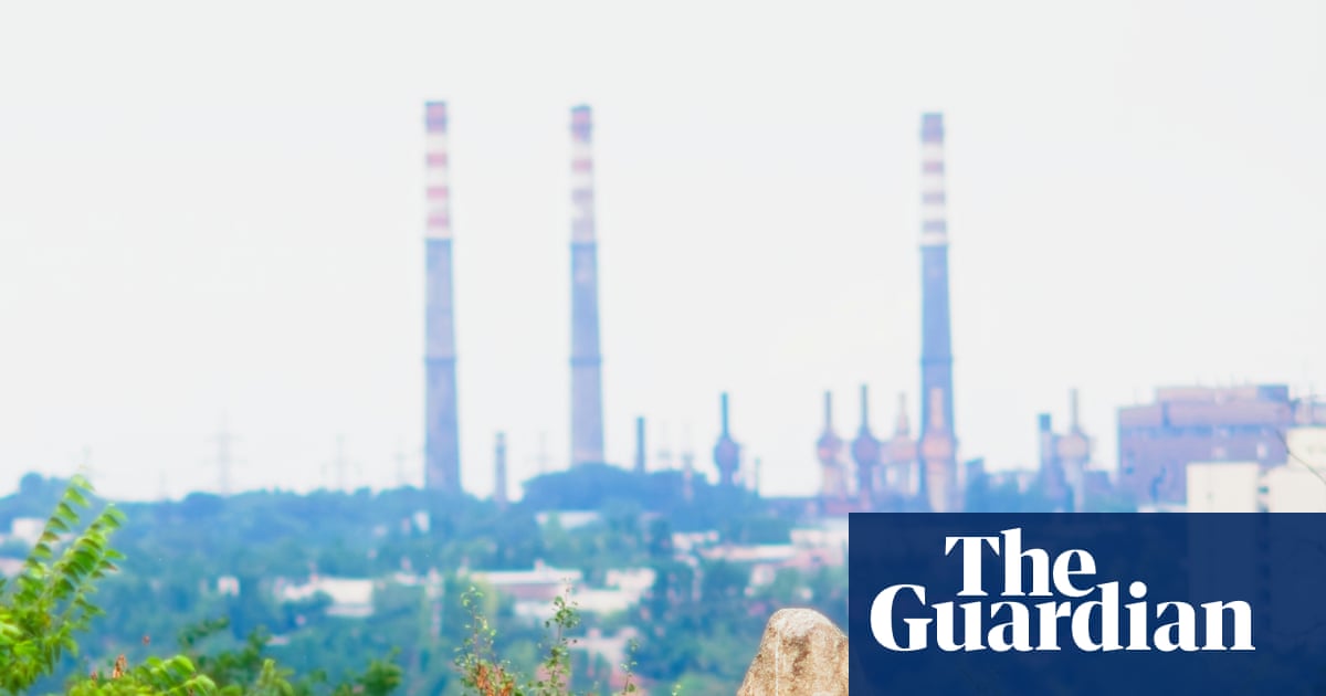 Nature has a remarkable way of recovering from human catastrophe