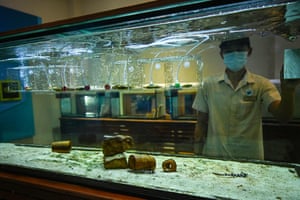 Conservationist cleaning a tank of bamboo sharks and eggs at the Marine Discovery Centre at SAii Phi Phi Island Village Resort on Thailand’s Phi Phi Don island