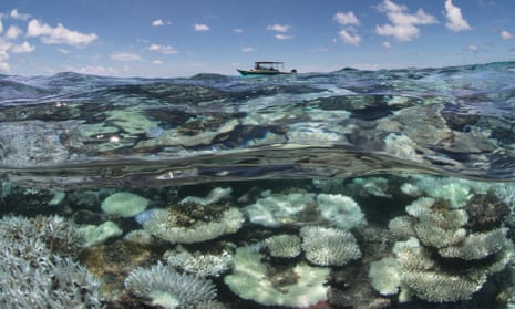 Coral bleaching in the Maldives, captured by the XL Catlin Seaview Survey