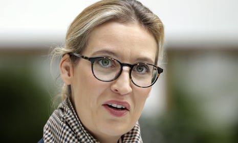 AfD co-leader faces calls to resign over campaign donations | Germany | The Guardian