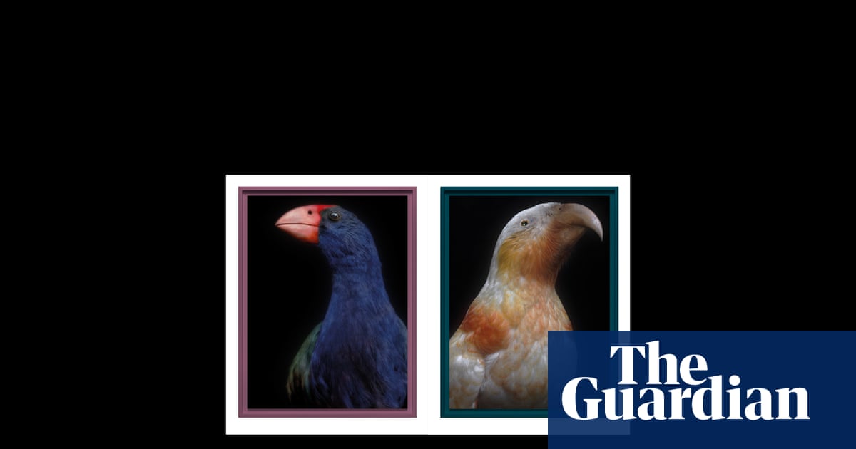 Fiona Pardington's portraits of the lost birds of Aotearoa New Zealand in pictures