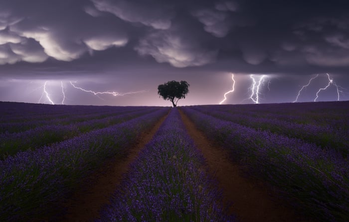 sony-world-photography-2021-winnaars-elektrische-storm