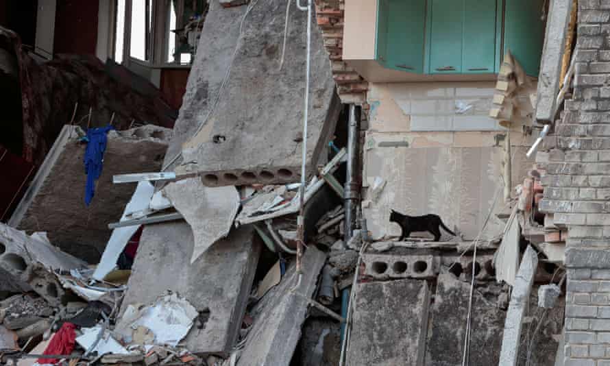 A cat walks on debris of a residential building destroyed by a Russian military strike, as Russia’s attack on Ukraine continues, in the town of Bakhmut, in Donetsk Region, Ukraine May 29, 2022.
