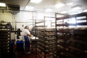 Making cheese at Cowgirl Creamery.