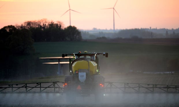 A French farmer spraying glyphosate herbicide in a corn field.