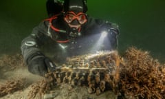 The Enigma cipher machine was discovered on the seabed in Gelting Bay near Flensburg, Germany.