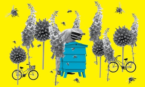 Composite image of bees, a beehive, flowers and bicycles