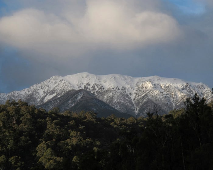 Two bodies found in Victorian high country by hikers