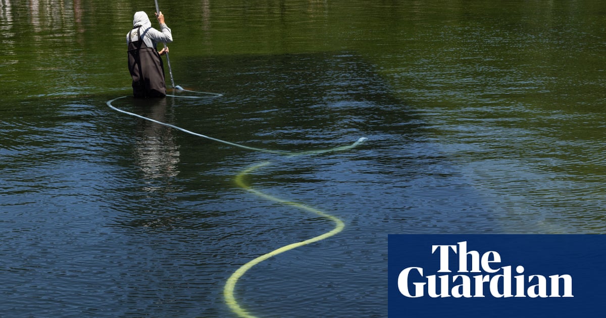 Reflecting pool was cut with ‘sharp knife or razor’, National Park Service says