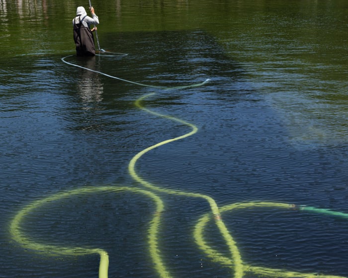 Reflecting pool was cut with ‘sharp knife or razor’, National Park Service says