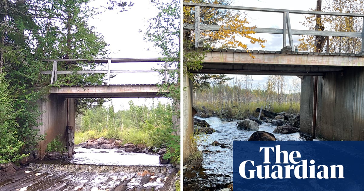 Record number of dams dismantled in Europe in effort to help wildlife thrive