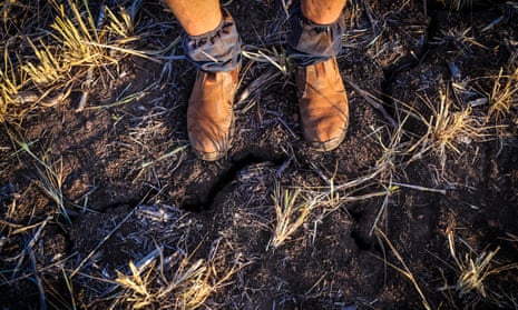 a farmer's dusty boots in a paddock