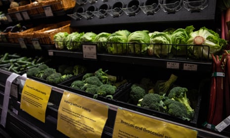 Fresh produce including lettuce and broccoli in a supermarket
