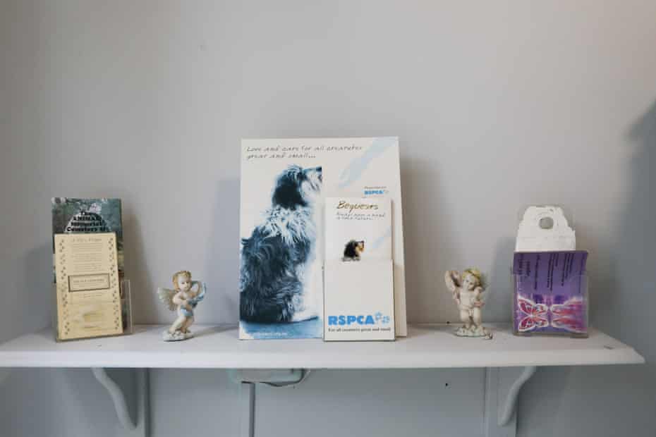 Flyers and statues at the Animal Memorial Cemetery and Crematorium located in Berkshire Park NSW, Australia. Pet Cemetery.
