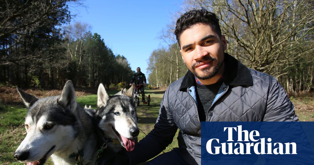 Tuesday’s best TV: Britain’s Favourite Dogs: Top 100; Inside No 9