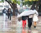 Sydney has wettest start to August in decades – and there could be more rain when spring arrives