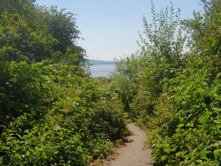 This section leads down to Dungeon Bay and Oglet Shore, both important sites for birds and wildlife.