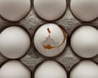 Egg ‘cartel’ of a dozen suppliers manipulated Australian market for years, regulator alleges