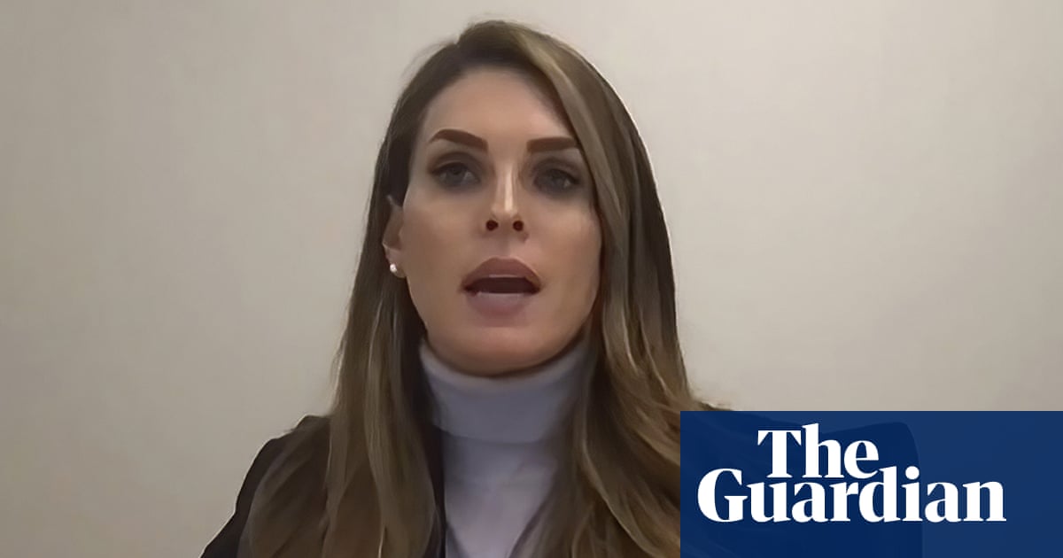 Trump aide Hope Hicks texted ‘we look like domestic terrorists’ on January 6