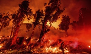 Firefighters battle the Maria Fire in Santa Paula, California, on 1 November 2019.