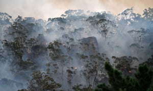 A bushfire