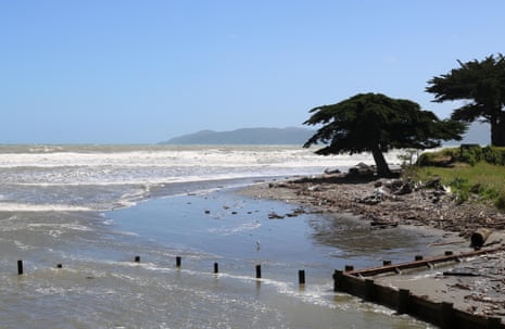 High tide at Raumati Beach on the Kapiti Coast of New Zealand. The rate of sea level rise around New Zealand has doubled in the past 60 years.