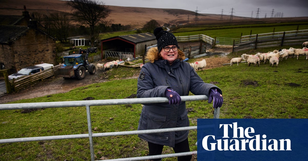 The hidden life of a farmer: playful cows, imperious sheep