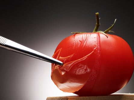Skin the tomato by slitting the skin and dipping into boiling water for 30 seconds.