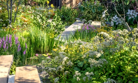 A Tom Massey garden