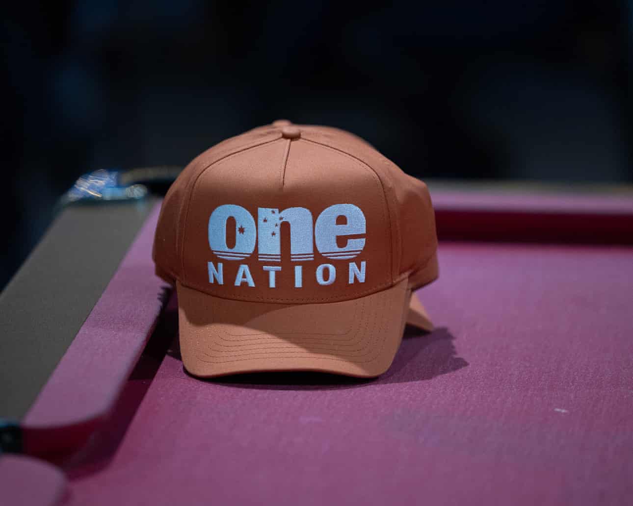 One Nation voters reject the prime minister