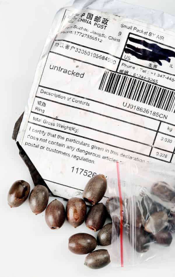 A package from China containing seeds received by a Rock Island resident in Illinois.