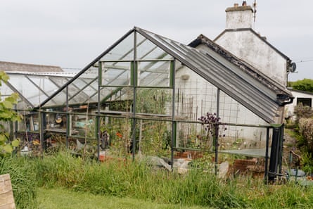 Joy Larkcom’s greenhouse at her home in West Cork, Ireland.