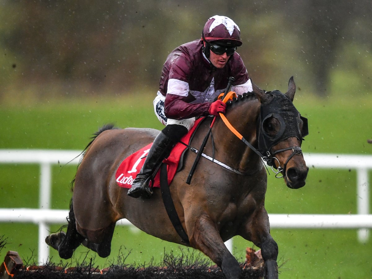 Tiger Roll Fifth But Still Aimed At Cheltenham And Grand National Sport The Guardian